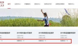 最新鹏程爆料消息,揭秘最新热点事件内幕